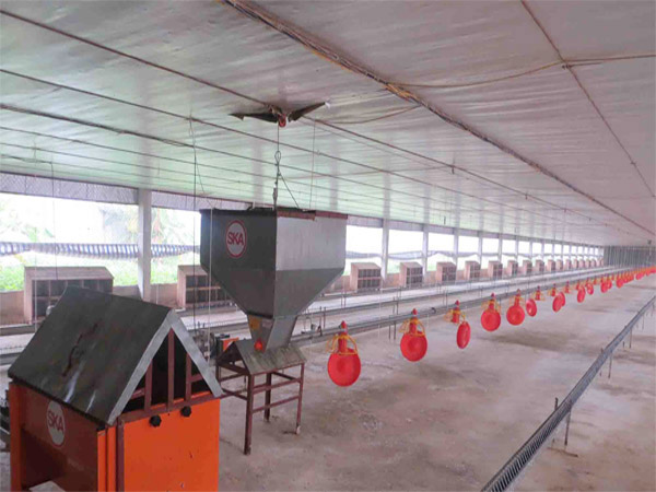 Livestock equipment