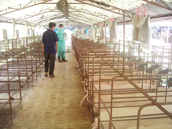 Livestock equipment