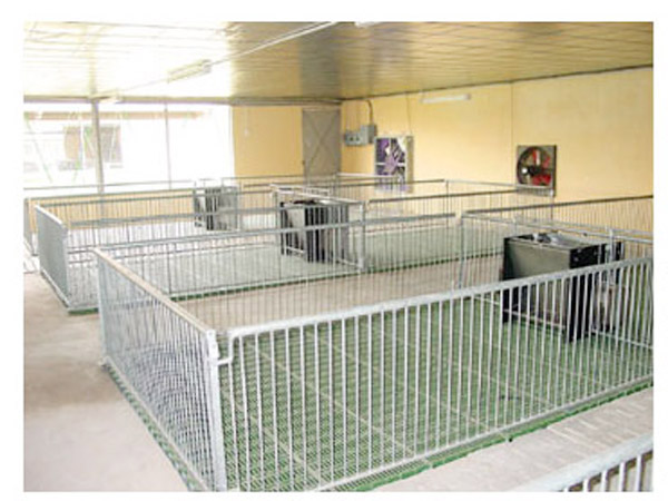Livestock equipment