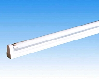 Fluorescent lamp