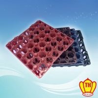 Plastic Blister