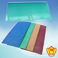 Plastic Blister