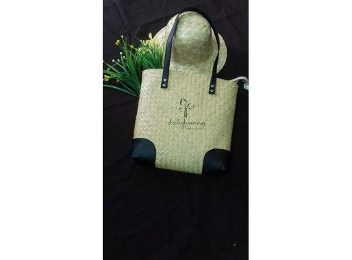 Terminalia catappa bag