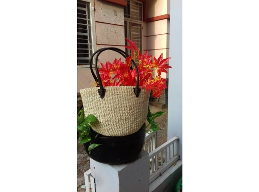 Corypha lecomtei bag