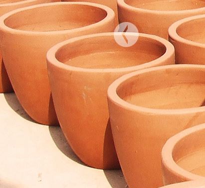 Terracotta pot