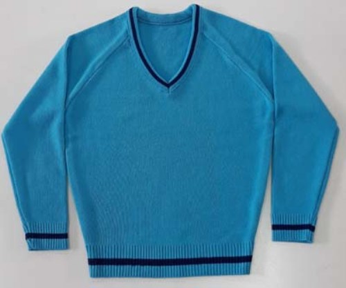 V-Necked Sweaters