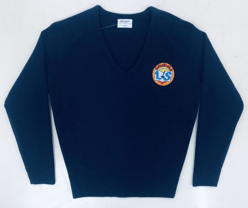 V-Necked Sweaters