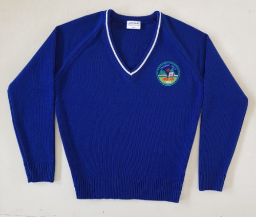 V-Necked Sweaters