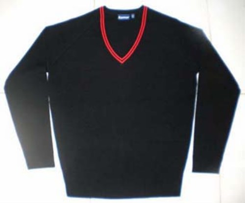 V-Necked Sweaters