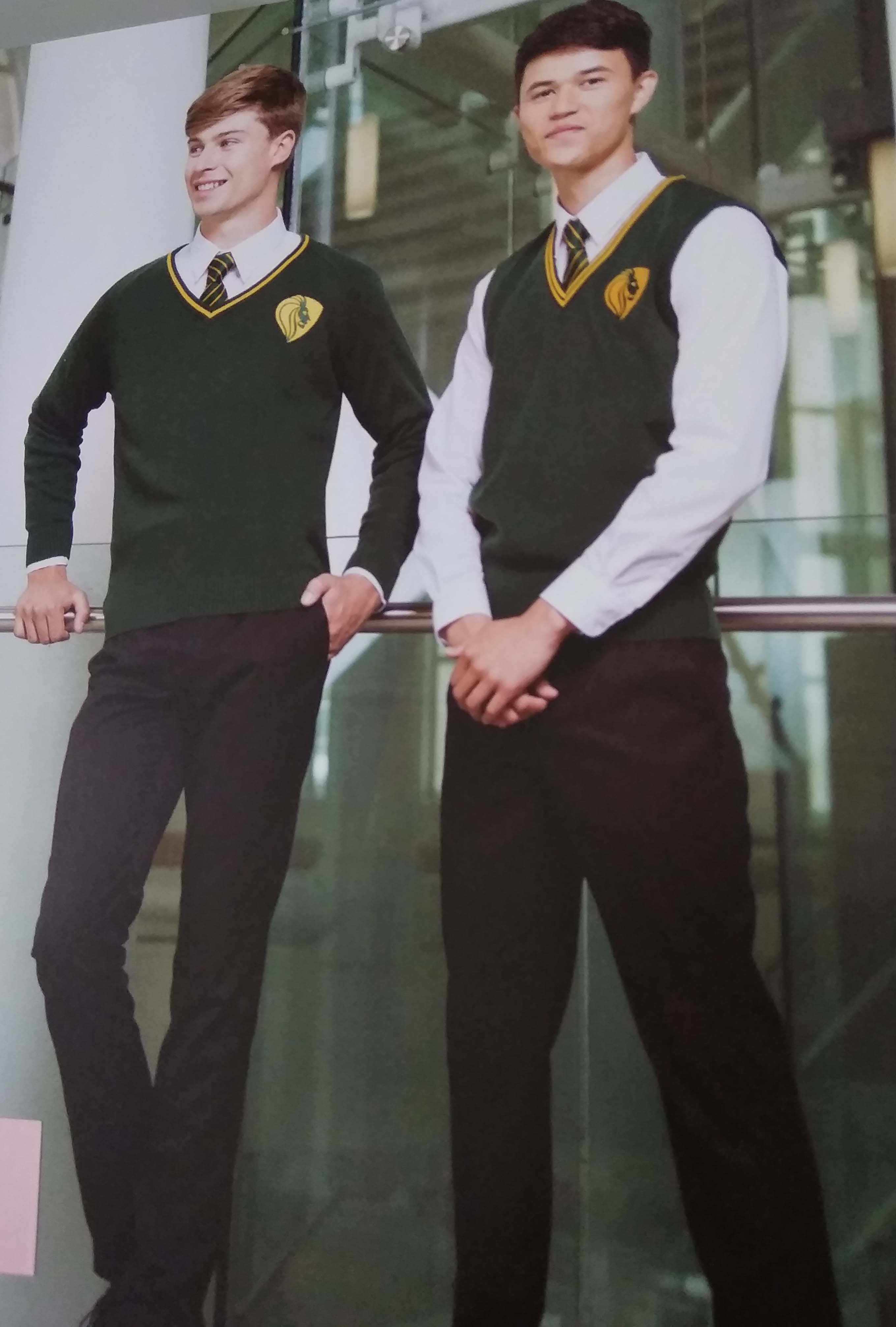 V-Necked Sweaters