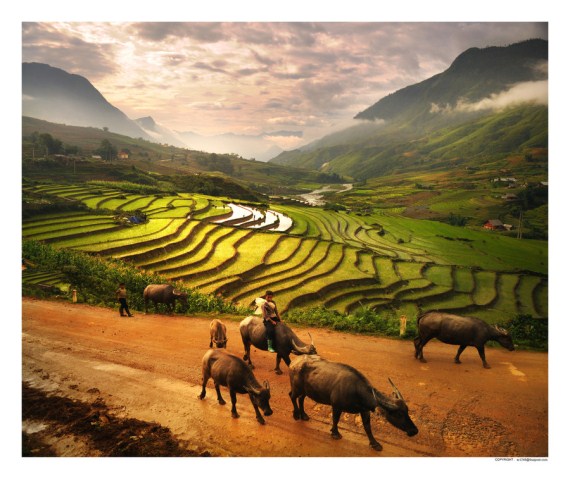 Sapa tour