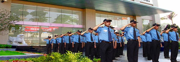 Fixed target security service
