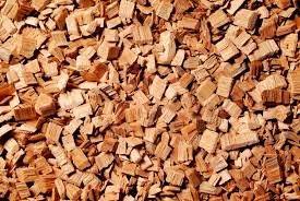 Eucalyptus wood chips