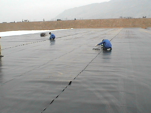 Plastic Film