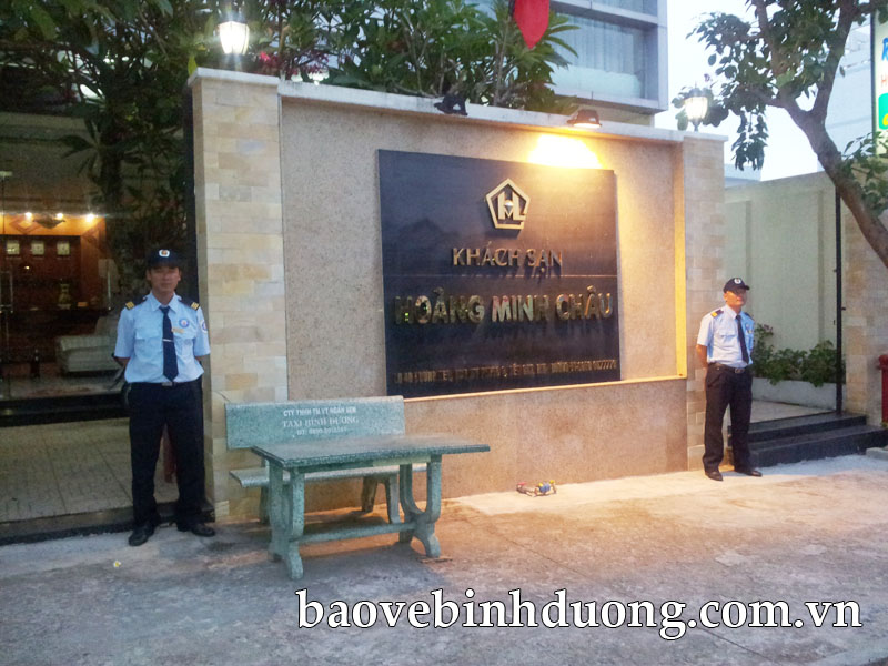 Security Servises