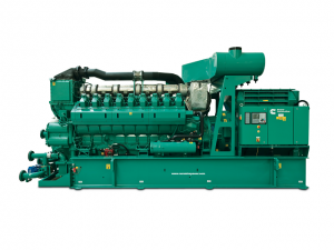Cummins generator