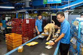 Customs Service