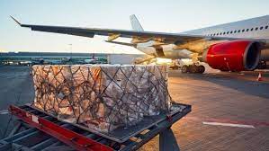 International Cargo Freight