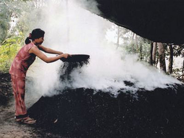 Soil for planting trees