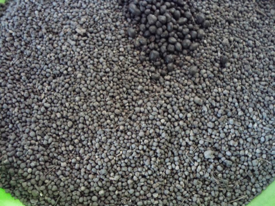 Soil for planting trees