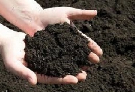 Unprocessed peat