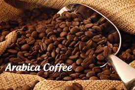 Arabica Coffee