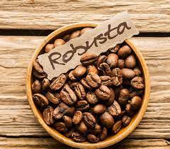 Robusta coffee