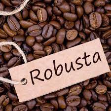 Robusta coffee