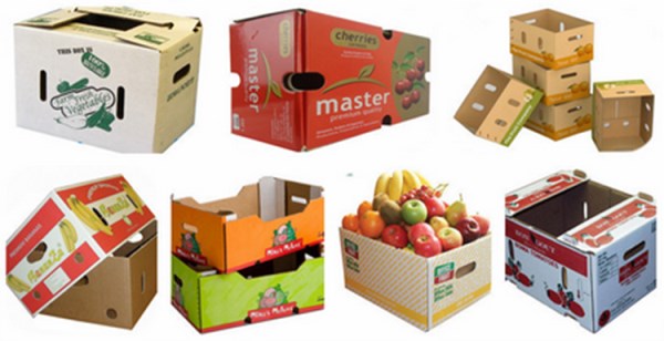 Carton boxes