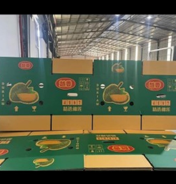 Carton boxes