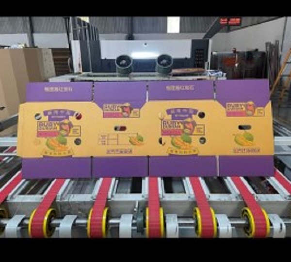 Carton boxes