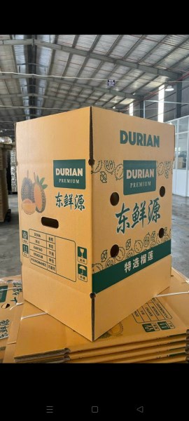 Carton boxes