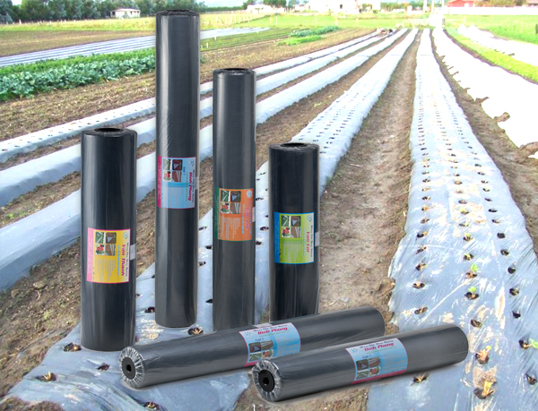 Agricultural coatings production