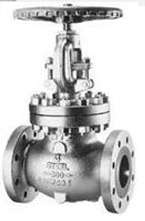 Globe Valve