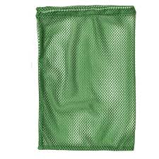 Green Mesh Bag