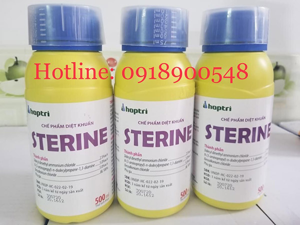 Sterine