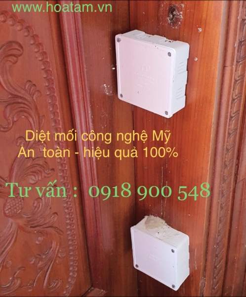 Termite and insect extermination service