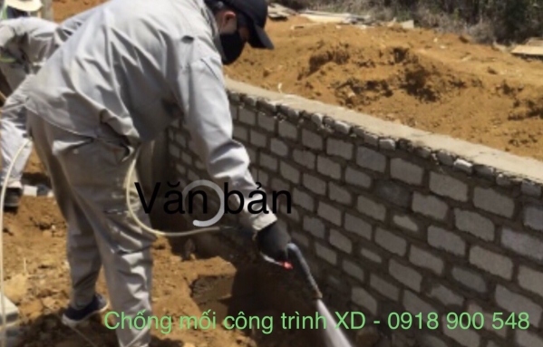 Termite and insect extermination service