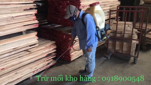Termite and insect extermination service
