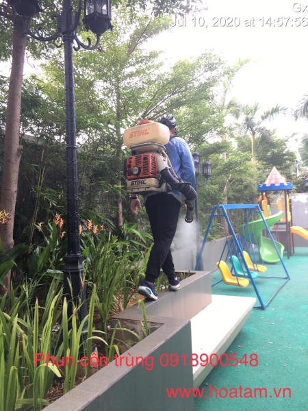 Termite and insect extermination service