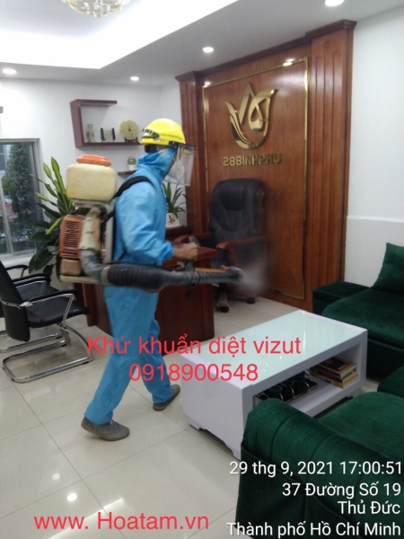 Termite and insect extermination service