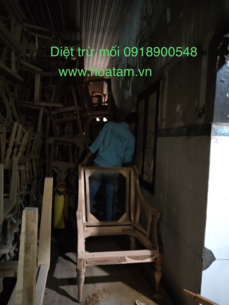 Termite and insect extermination service