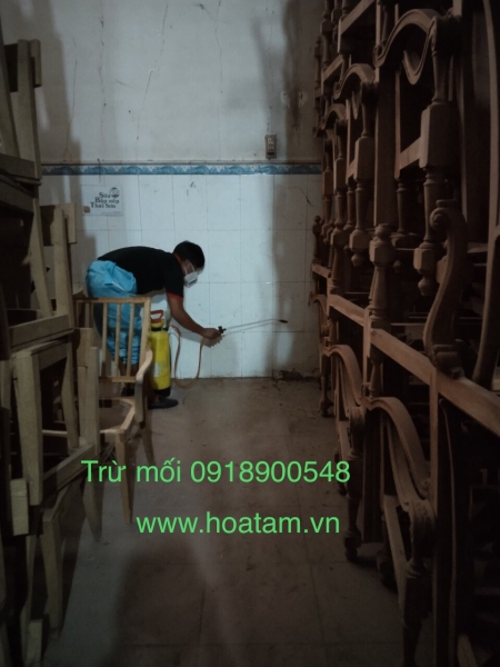 Termite and insect extermination service