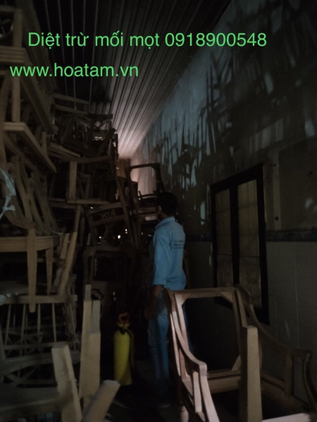 Termite and insect extermination service