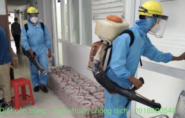 Termite and insect extermination service