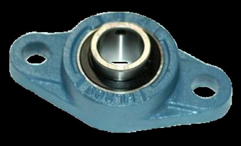 Asahi bearing