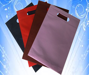Non-woven bags