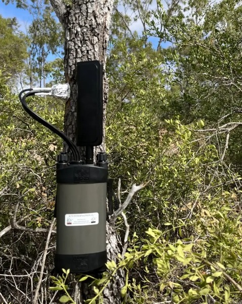 Plant sap flow meters