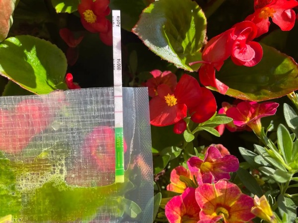 Plant disease rapid test kits