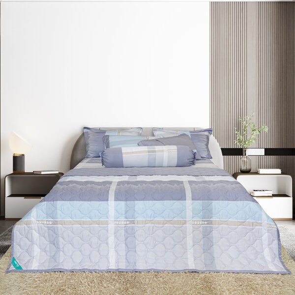 Blankets and pillows